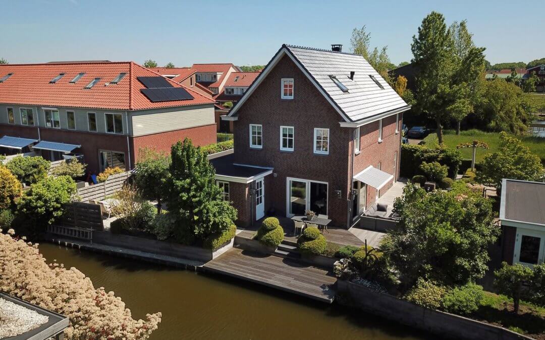 Pluimzegge, Den Haag