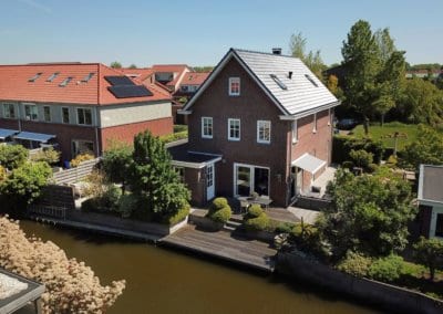 Pluimzegge, Den Haag