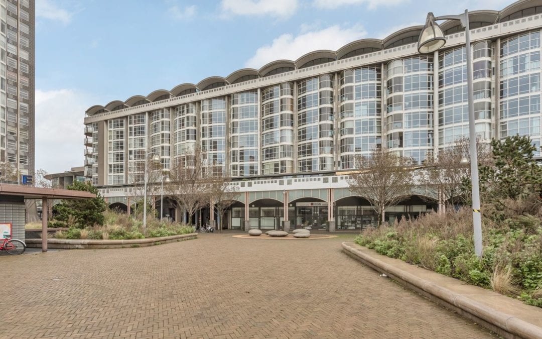 Palaceplein, Den Haag