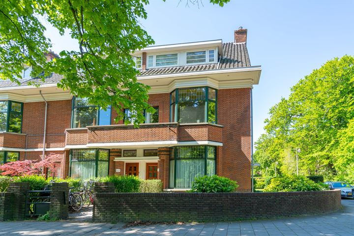 Van Alkemadelaan, Den Haag