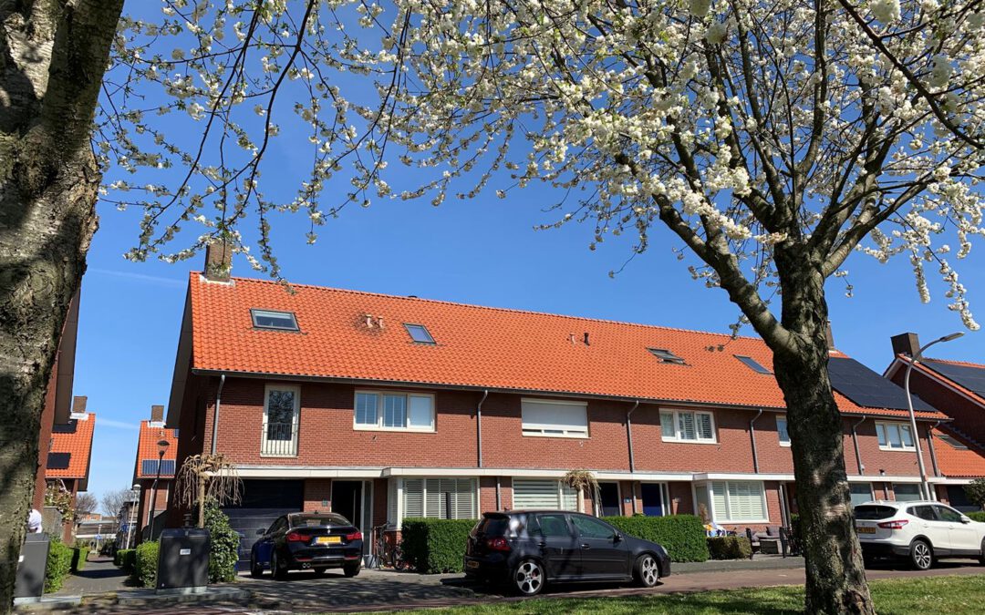 Gruttosingel, Den Haag