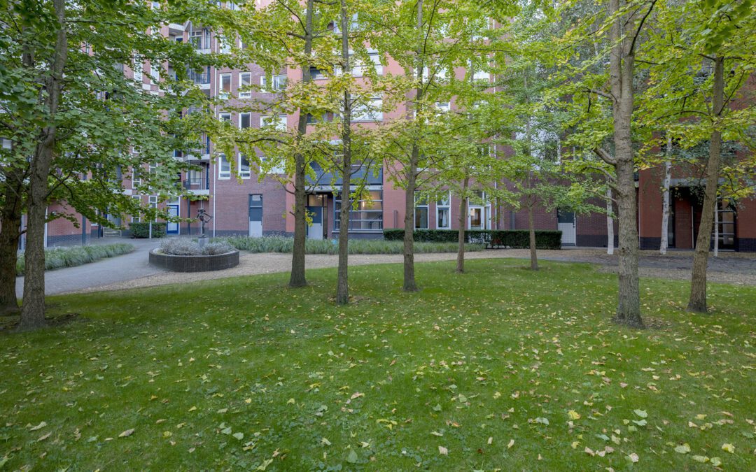 Calliopestraat 36, Den Haag – Rented –